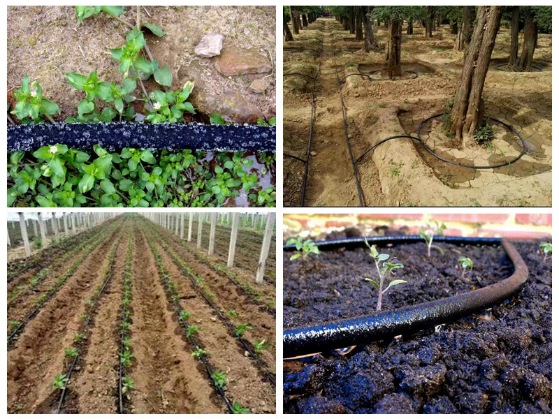 Quomodo Flexilis soaker caligarum ad irrigationes usus?