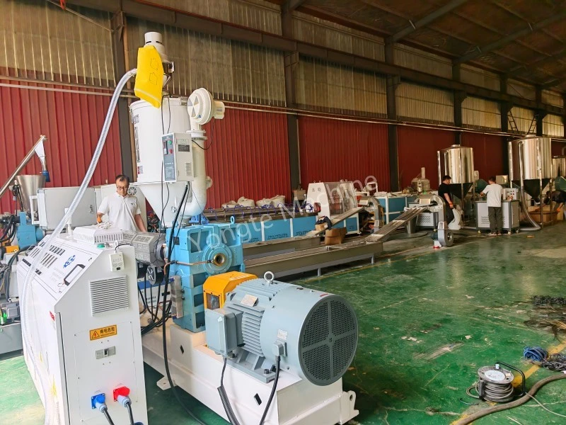 Plastic Redivivus Pelletizing Line LIBERATUS ad African Client